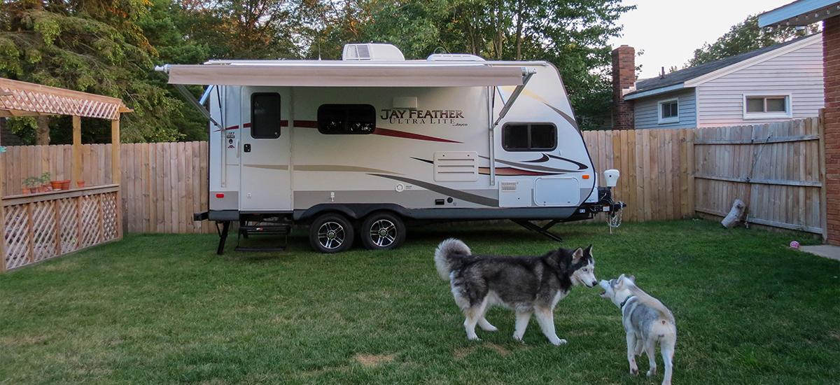Introducing Your Dog to An RV - The Ultimate Guide